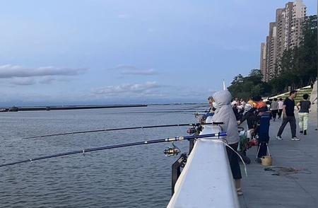 长江口的钓鱼热点：滨江钓鱼场所的管理策略