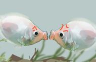 接吻鱼繁殖的秘诀：你需要知道的一切