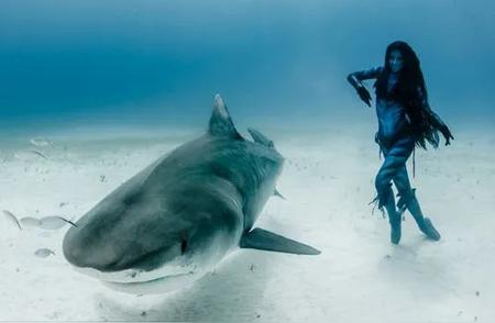 海洋奇遇：女潜水员解救鲨鱼摆脱鱼钩