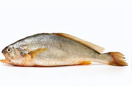50种常见食用鱼介绍：你真的认识几种？