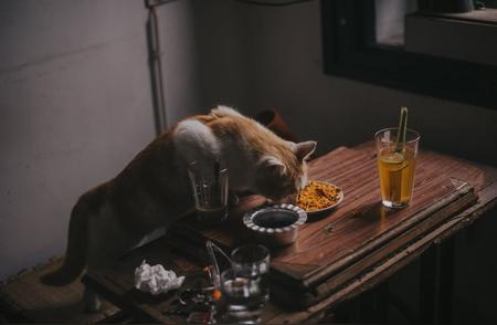 宠物食品选择指南：如何为爱宠挑选最佳营养？