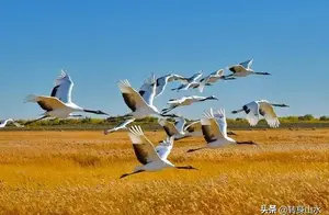 探寻秘境！黑龙江最值得一去的六大景点，你打卡了几个？