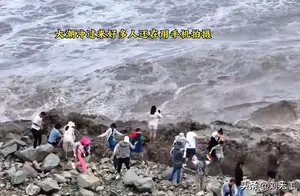 游客观潮遭遇不测，网友反应引争议