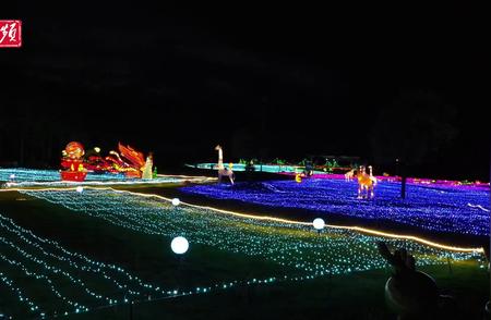 武汉野生动物王国夜探探秘之旅启幕