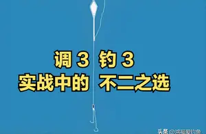 钓鲫鱼必学：如何选择合适的目数调漂技巧