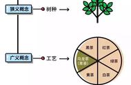 乌龙茶的奥秘：如何通过品尝识别