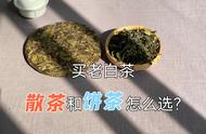 老白茶：散茶与饼茶哪个更优秀？