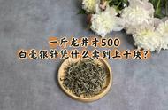 500元一斤的龙井茶，为何半斤白毫银针却买不到？白茶价格真的比绿茶贵吗？