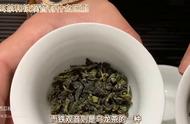 普洱茶与铁观音：全面比较两者的差异，从种类到口感