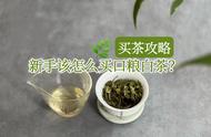 双十一白茶购买指南：新手如何选购高性价比口粮茶？