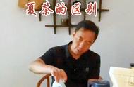 春茶浓郁，夏茶柔滑：口粮茶精选推荐