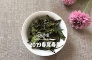 白茶新手必读：全方位知识指南助您挑选佳品