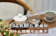 白茶真的含有巧克力的香气吗？揭秘白茶四大基本香型的真面目