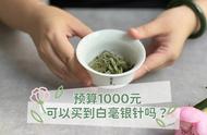 预算1000元，白茶购买推荐：白毫银针还是白牡丹？