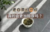 老白茶的闷泡秘诀：茶掌柜推荐，年份越久越好吗？