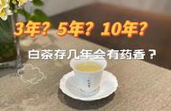 白茶的药香年份：3年、5年还是10年？