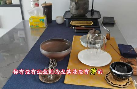 普洱茶：古老茶树的神秘冷知识