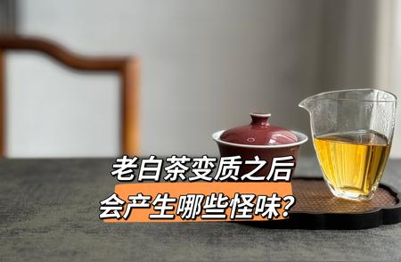 老白茶变质的7大警告信号，你必须知道!