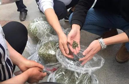 母女悲剧背后的警示：老人喝茶与癌症风险