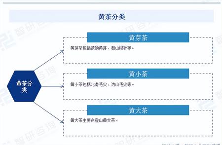 中国黄茶行业蓬勃发展：深度解读发展概况