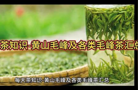 每日分享：黄山毛峰茶的独特魅力与品种汇总