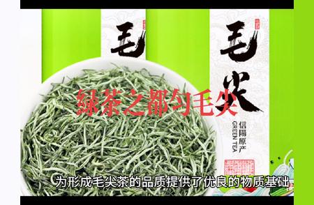 都匀毛尖绿茶：品味贵州的骄傲