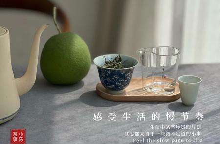 买白茶指南：散茶与饼茶的选择秘诀