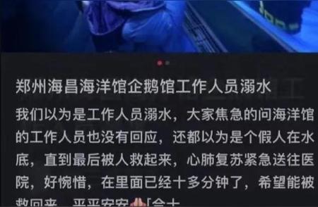 潜水员在海洋馆不幸溺亡，事件引发网友广泛关注和质疑