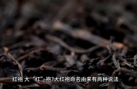 大红袍：探索中国著名茶叶的品种特色