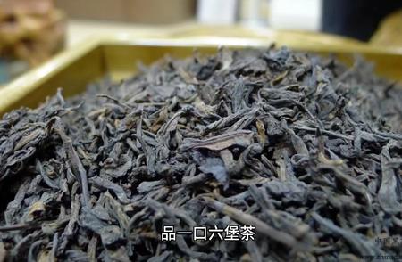 六堡茶：历史悠久的茶文化深度解读