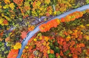 探索未知秘境：揭秘鲜为人知的小众秋色美景