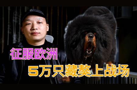 养狗知识大全：了解犬种猛犬之父与成吉思汗的藏獒情缘