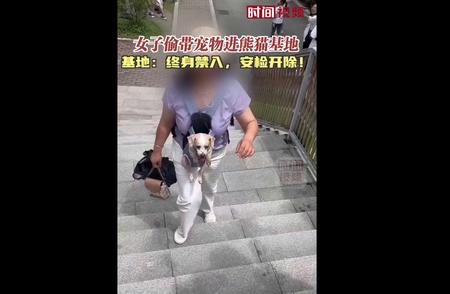 熊猫基地严打违规行为：女子偷带宠物入园被终身禁入