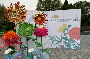 菊花文化节盛大开幕：九大展区带你领略千余品种菊花的魅力