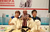 亚洲宠物展：国内最盛大的宠物盛会即将开幕！