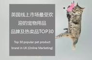 揭秘英国线上宠物用品市场TOP30品牌排行榜