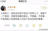 全民热议：宠物鸭的魅力与争议