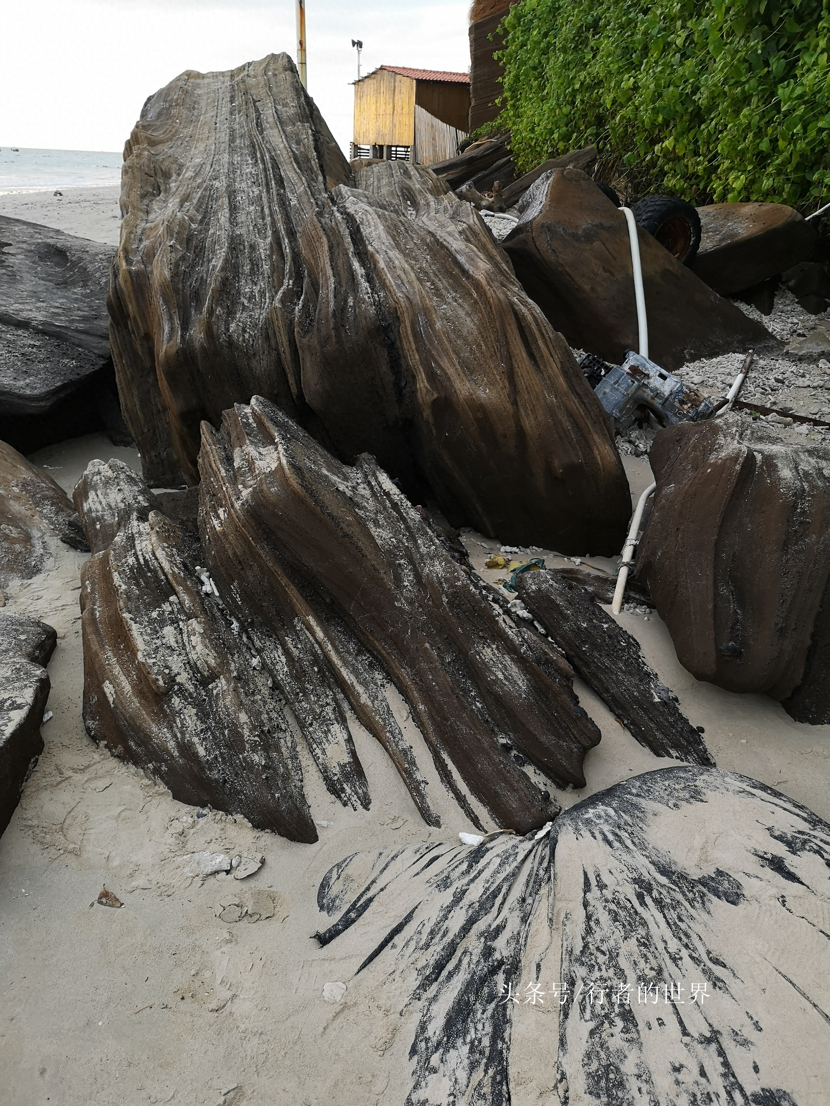 赶海，捡珊瑚石，涠洲岛上原始野趣多