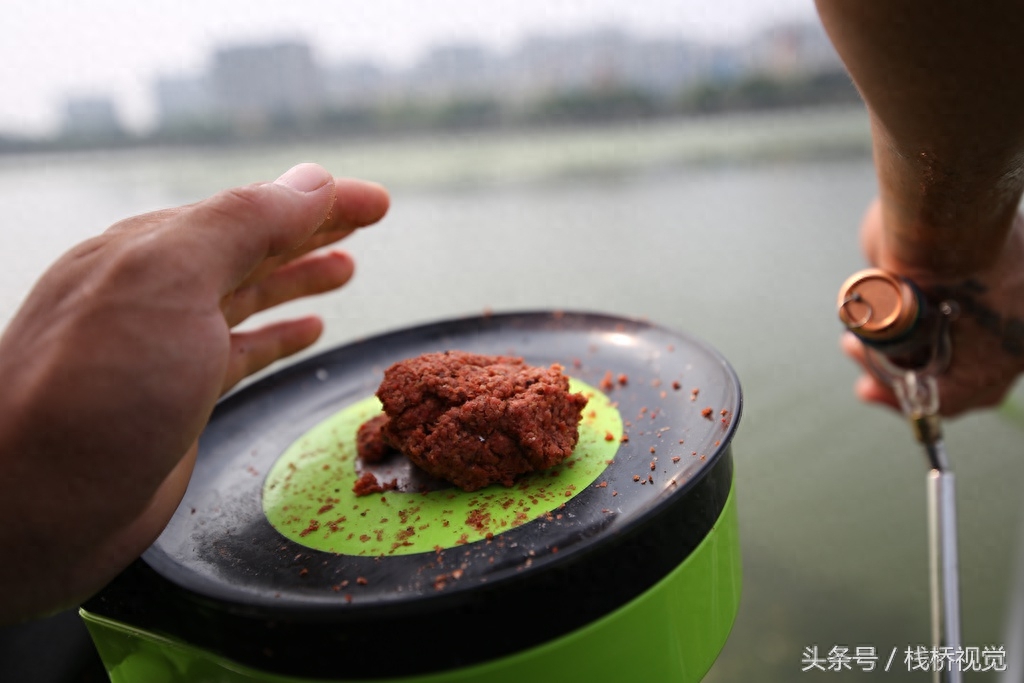 喜欢钓鱼的看过来！青岛白沙河畔钓鲫鱼，河边一溜人冒着高温打着遮阳伞享受快乐垂钓人生！